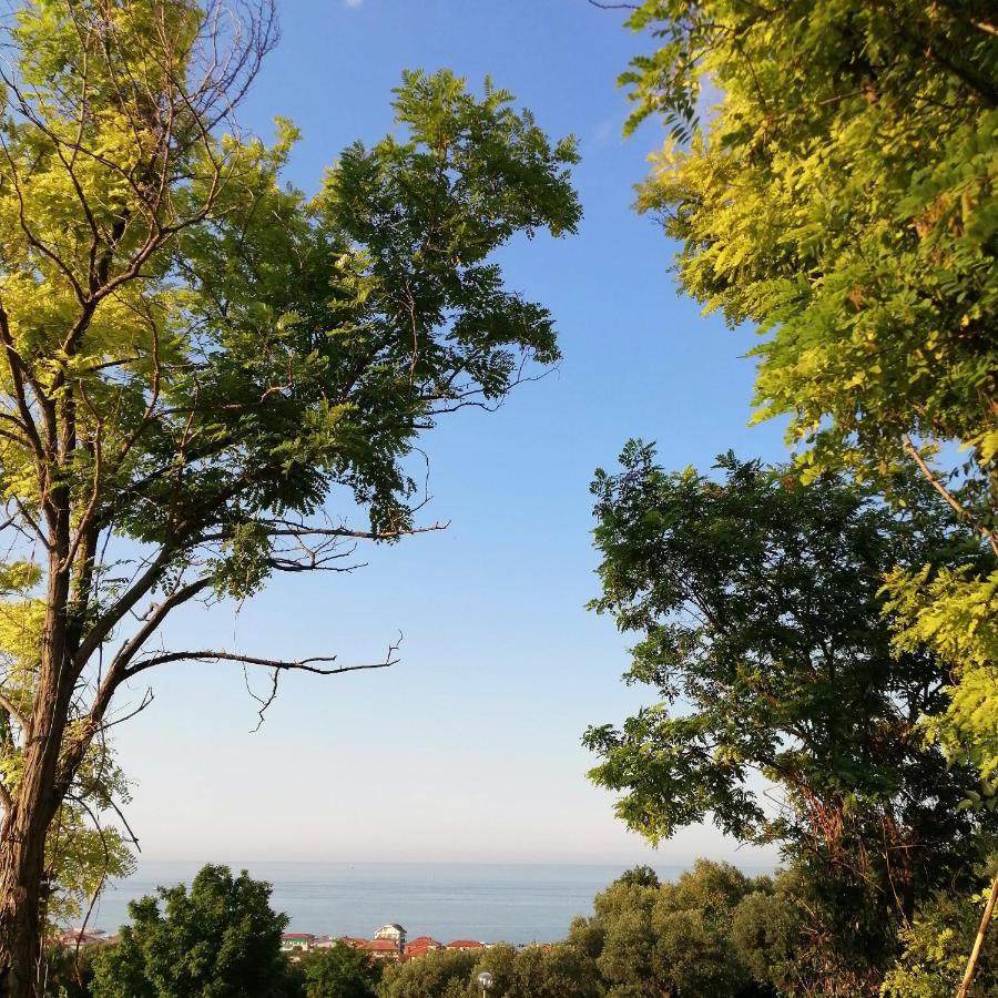 Il Magnolia Bed & Breakfast Francavilla Al Mare Exterior photo